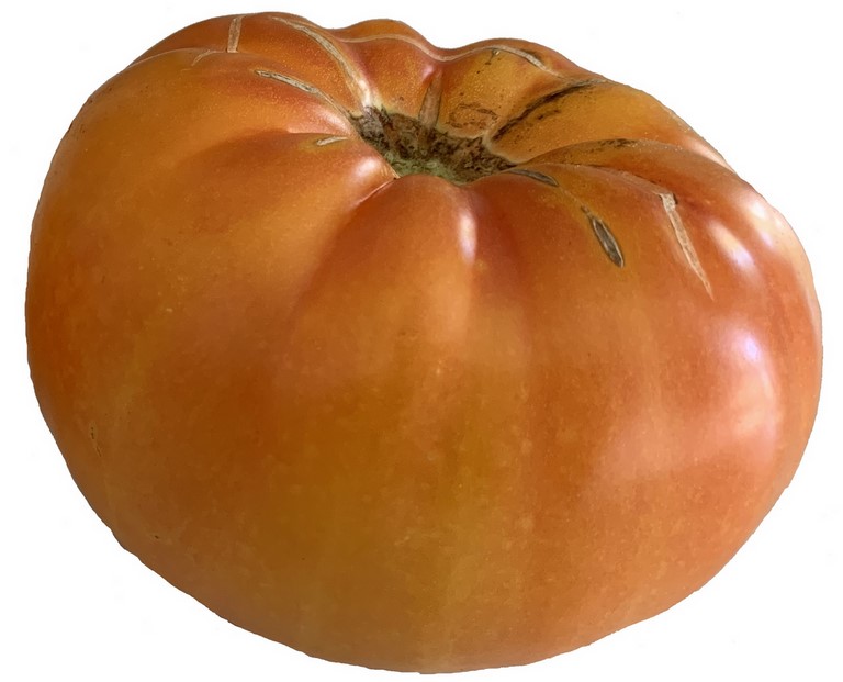 Tomate ananas